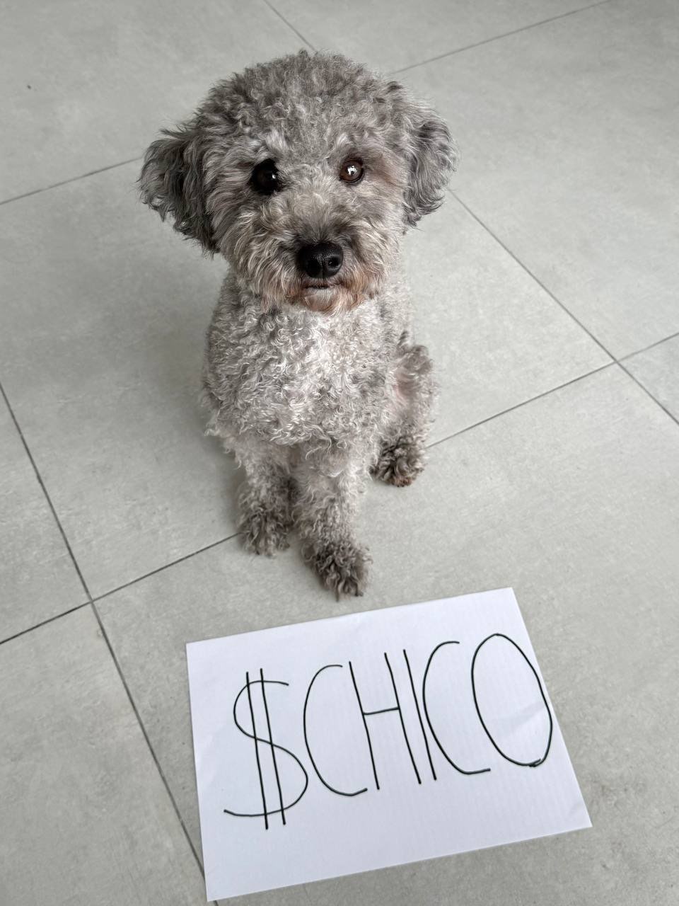 Chico