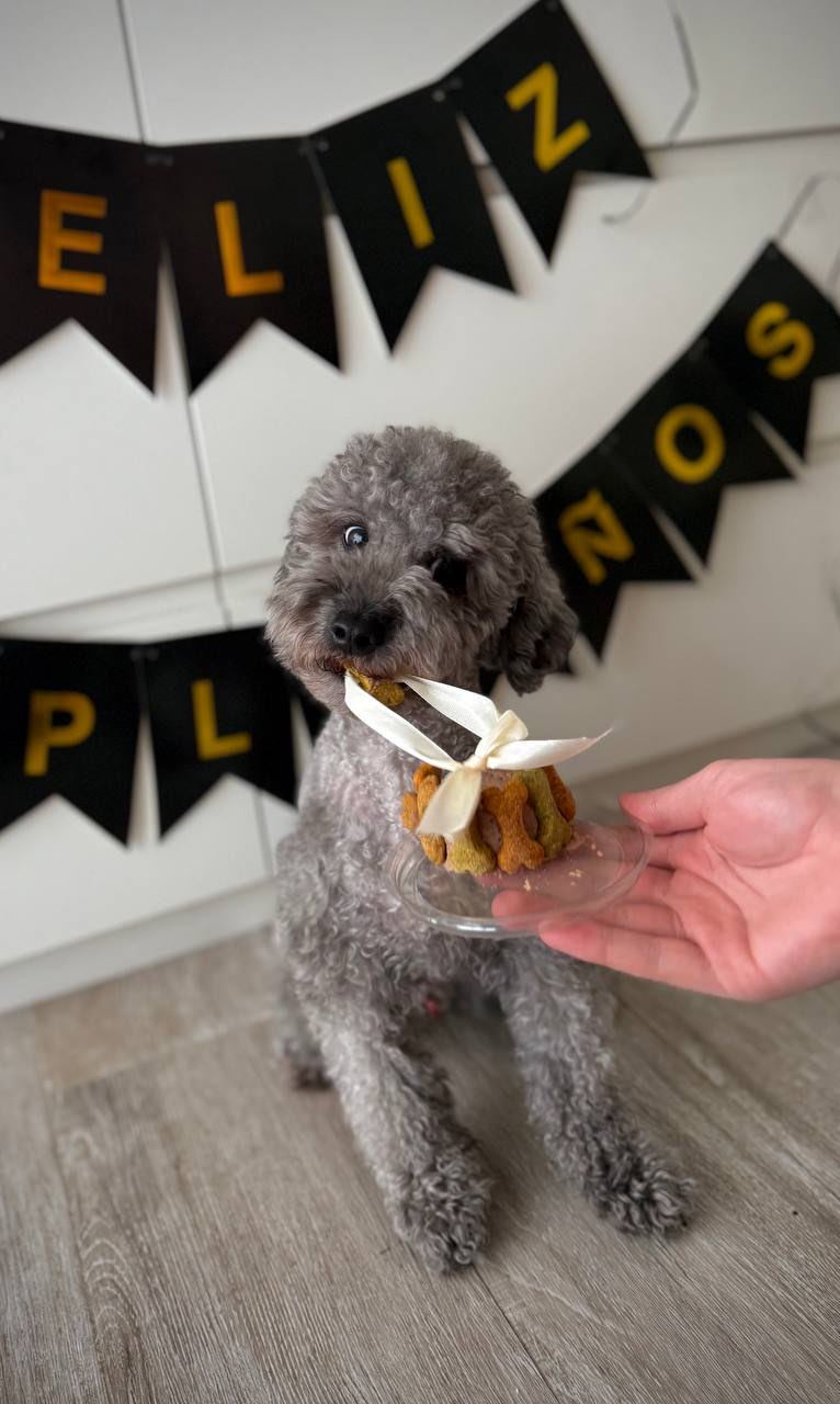 3. His favorite things